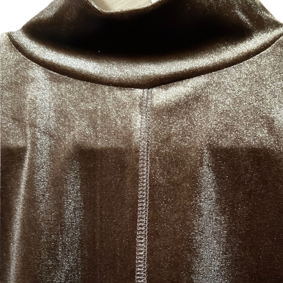 Chocolate Brown Velvet Mock Neck Long Sleeve Top - Small - Picture 3 of 6